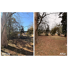 Essential-Spring-Cleanup-in-Oxford-MS 1